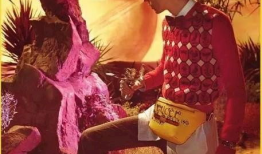 麻豆骗局,网络交友背后的陷阱与警示