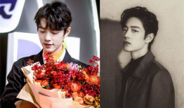 吃瓜娱乐圈肖战,娱乐圈的瓜田明星